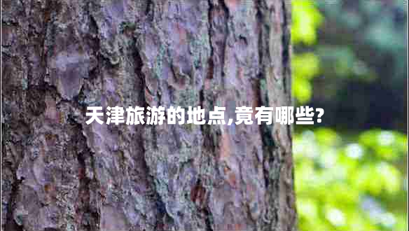 天津旅游的地点,竟有哪些?