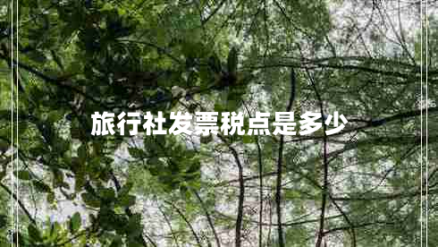 旅行社发票税点是多少