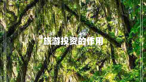 旅游投资的作用