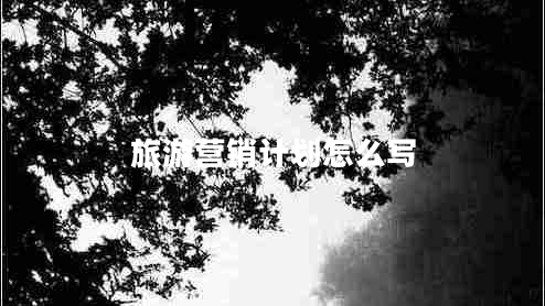 旅游营销计划怎么写