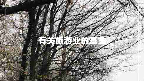 有关旅游业的基金