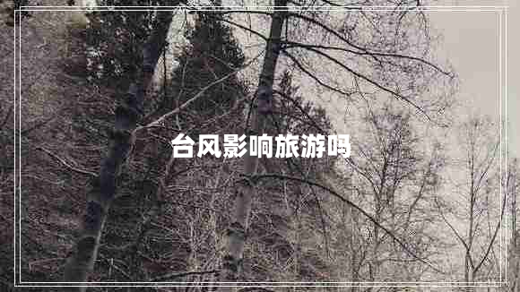 台风影响旅游吗