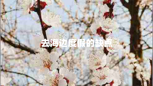 去海边度假的缺点 去海边度假的缺点