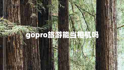 gopro旅游能当相机吗