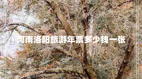 河南洛阳旅游年票多少钱一张