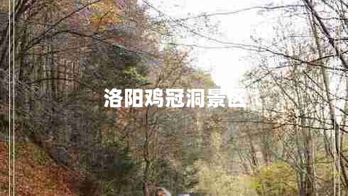 洛阳鸡冠洞景区