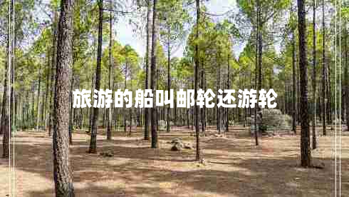 旅游的船叫邮轮还游轮