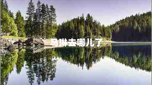 马琳去哪儿了