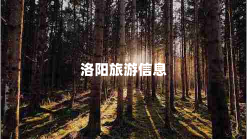 洛阳旅游信息