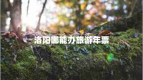 洛阳哪能办旅游年票