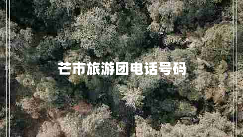 芒市旅游团电话号码