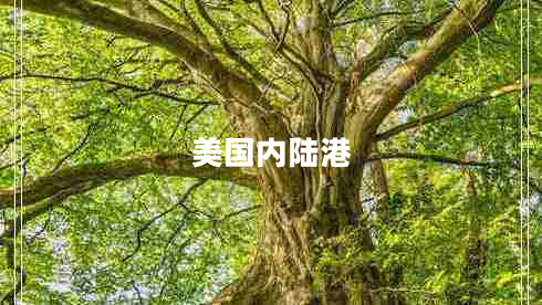 美国内陆港