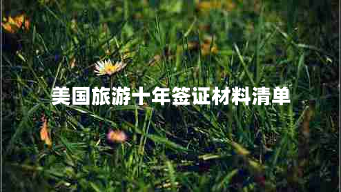 美国旅游十年签证材料清单