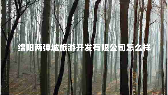 绵阳两弹城旅游开发有限公司怎么样