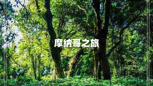 摩纳哥之旅 摩纳哥之旅