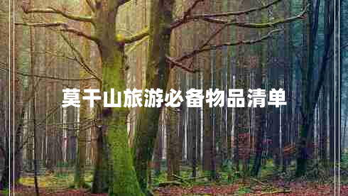 莫干山旅游必备物品清单