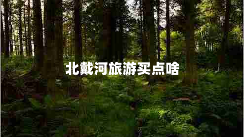 北戴河旅游买点啥 北戴河旅游买点啥