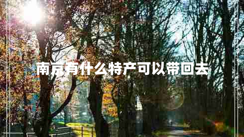 南京有什么特产可以带回去
