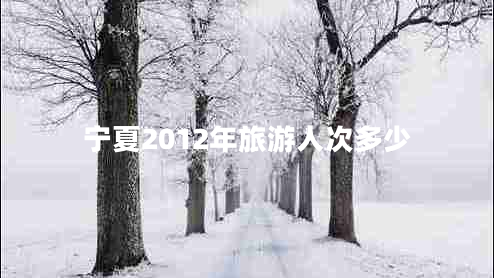 宁夏2012年旅游人次多少