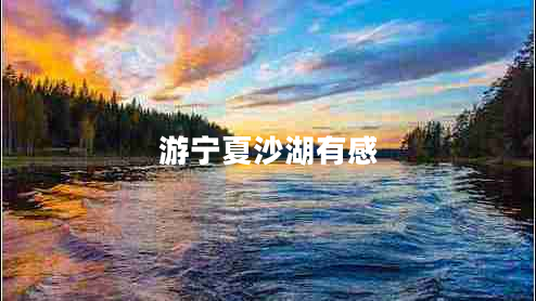 游宁夏沙湖有感