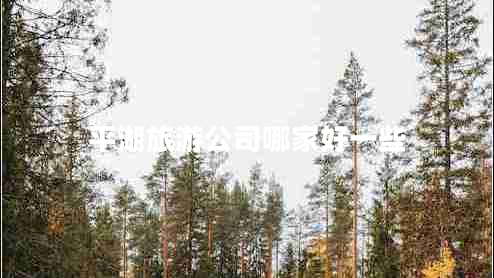 平湖旅游公司哪家好一些 平湖旅游公司哪家好一些