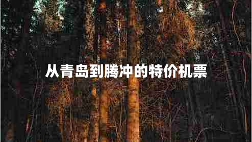 从青岛到腾冲的特价机票