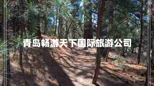 青岛畅游天下国际旅游公司