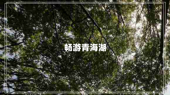 畅游青海湖
