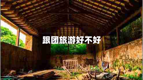 跟团旅游好不好