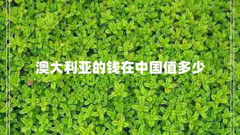 澳大利亚的钱在中国值多少
