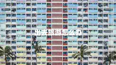 出去旅游怎么办