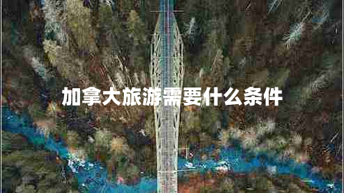 加拿大旅游需要什么条件