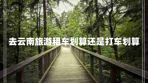 去云南旅游租车划算还是打车划算