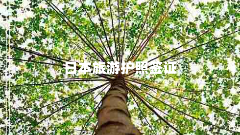 日本旅游护照签证