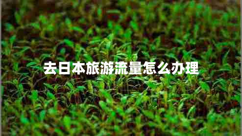 去日本旅游流量怎么办理 去日本旅游流量怎么办理