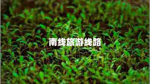 南线旅游线路 南线旅游线路