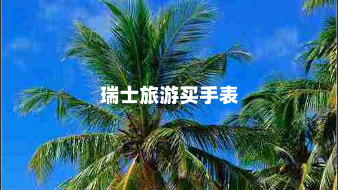 瑞士旅游买手表