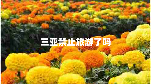 三亚禁止旅游了吗 三亚禁止旅游了吗