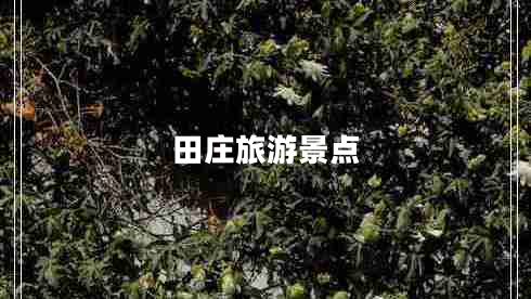 田庄旅游景点
