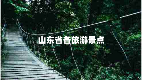 山东省各旅游景点