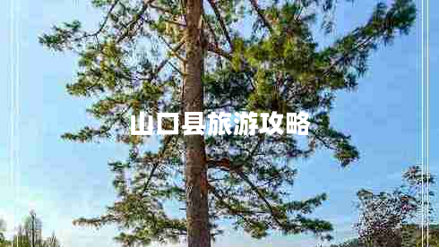 山口县旅游攻略