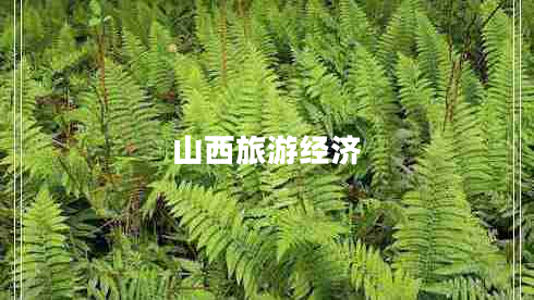 山西旅游经济