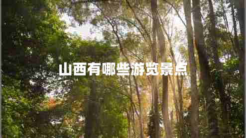 山西有哪些游览景点