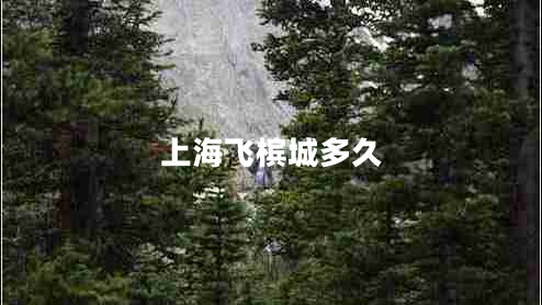 上海飞槟城多久