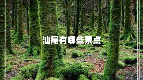 汕尾有哪些景点