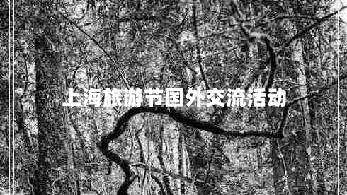 上海旅游节国外交流活动