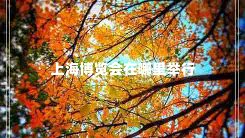 上海博览会在哪里举行