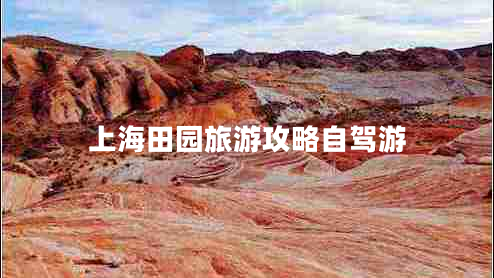 上海田园旅游攻略自驾游