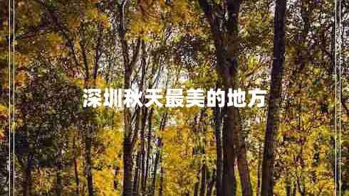深圳秋天最美的地方
