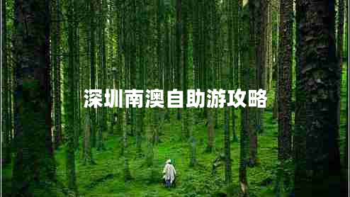 深圳南澳自助游攻略